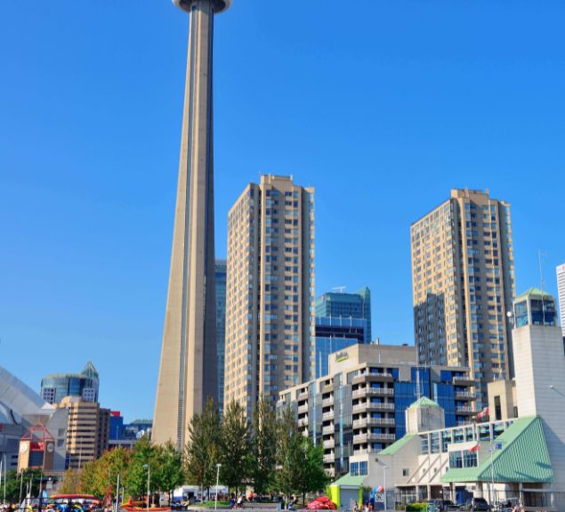 logo-design-in-toronto